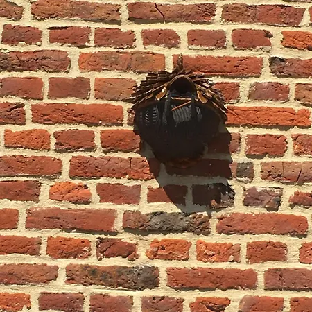 Factory : De Charme En Avesnois * Wargnies-le-Petit