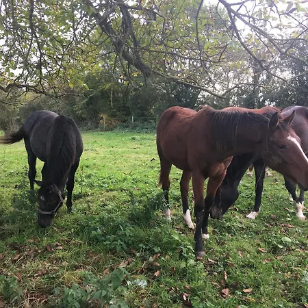 בית נופש Factory : De Charme En Avesnois Wargnies-le-Petit